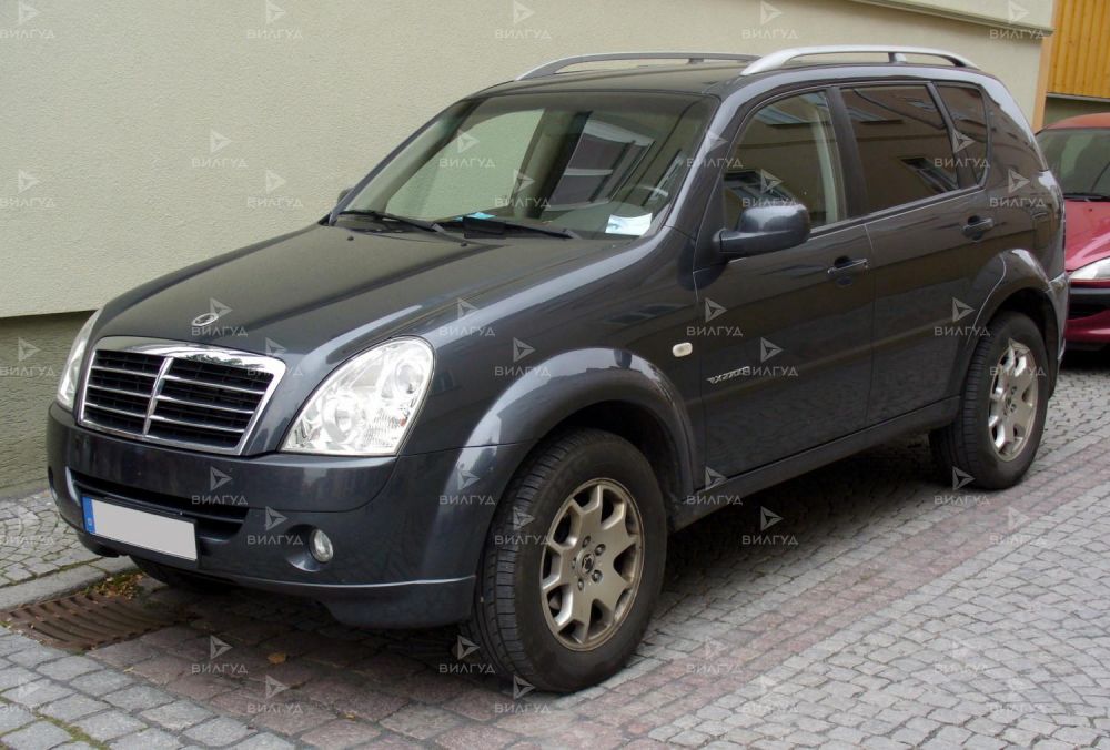 Промывка дроссельной заслонки Ssangyong Actyon в Ростове-на-Дону